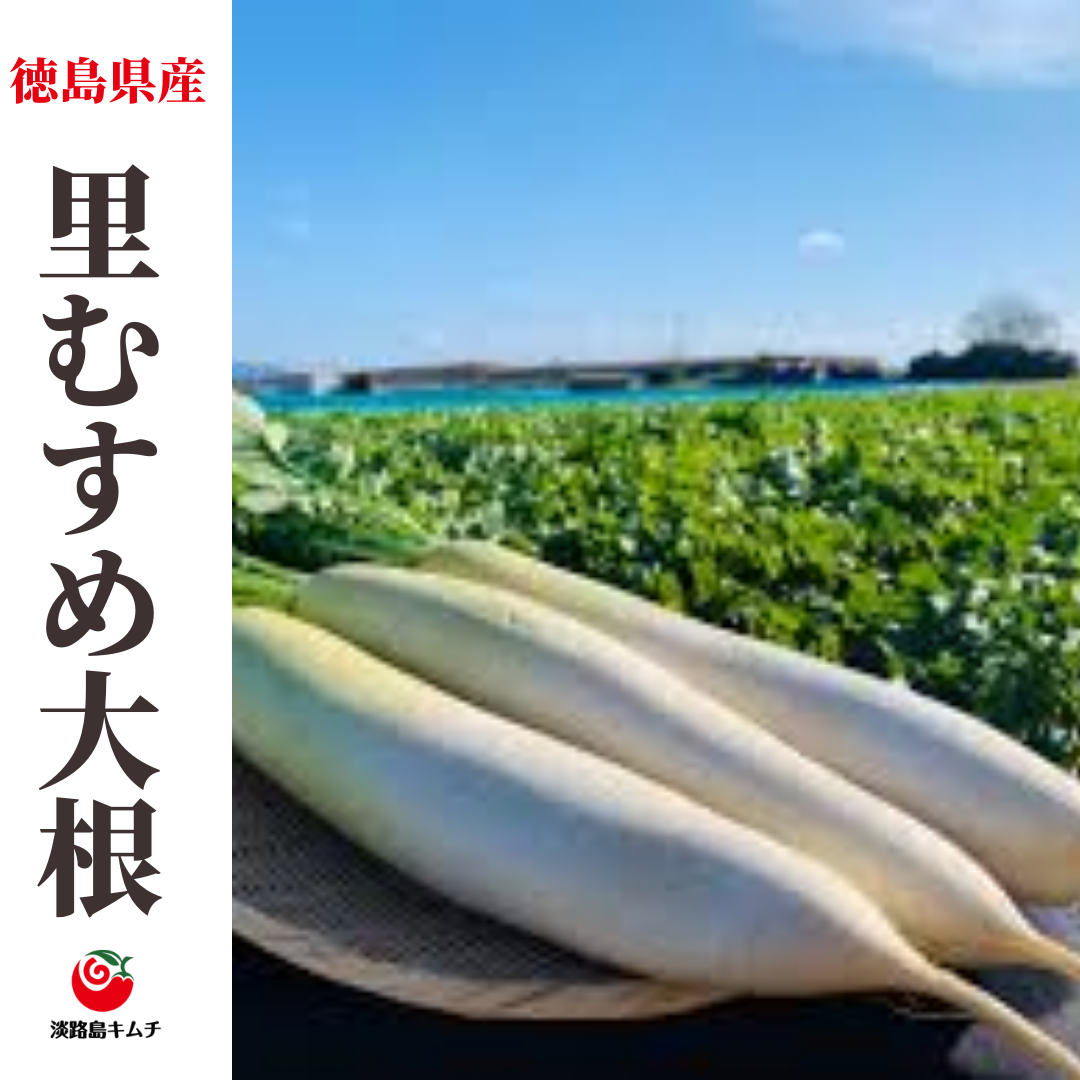 里むすめ大根使用 大根キムチ 250g(送料別)