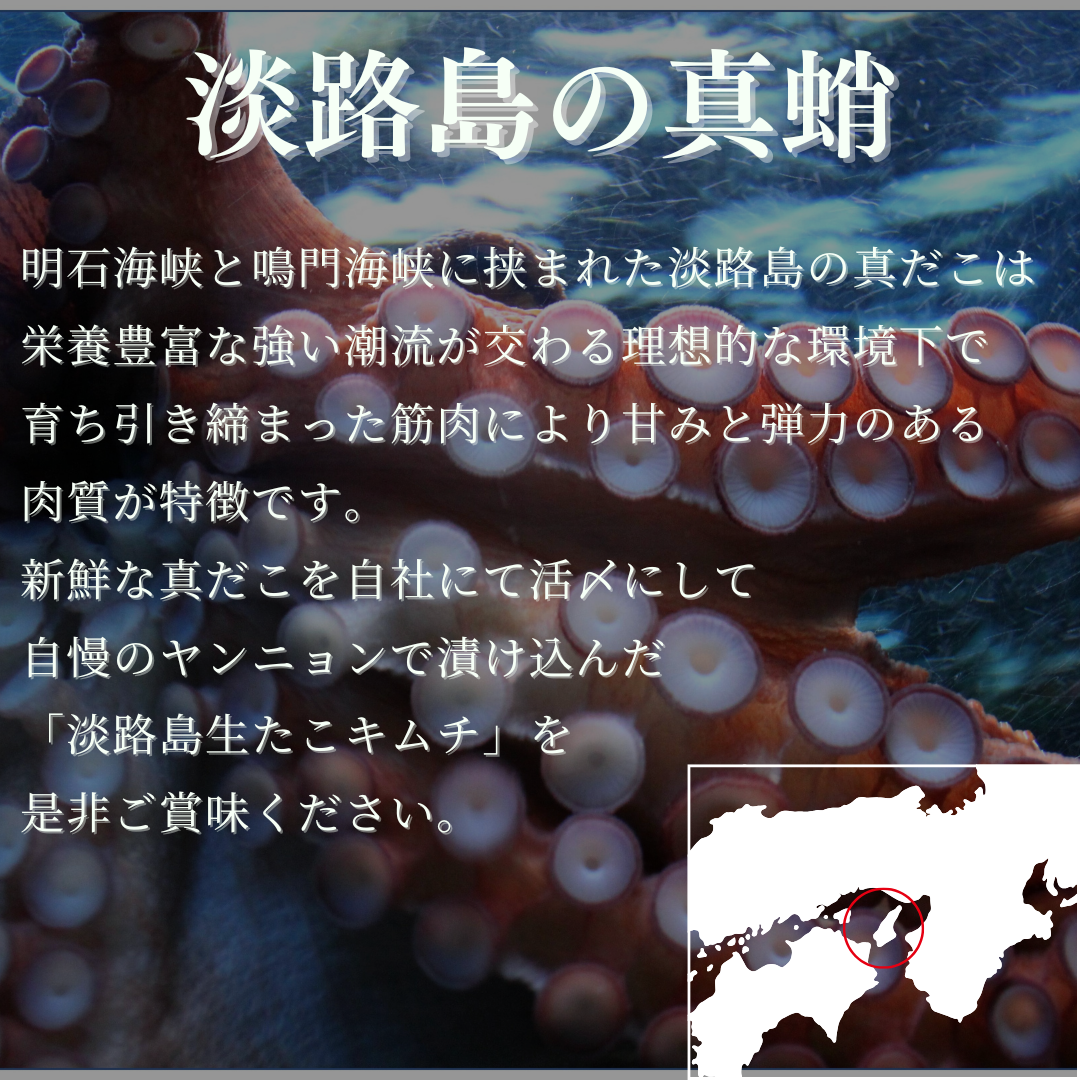 淡路島キムチ　あわじ活〆生たこ使用　海鮮コンボT　生タコキムチ✖2（送料込み）